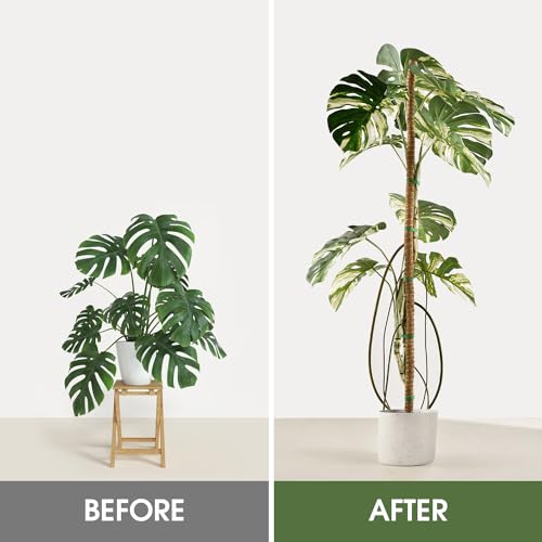 2 Pack Moss Pole, 63 Inch Bendable for Monstera Climbing Plants X1295