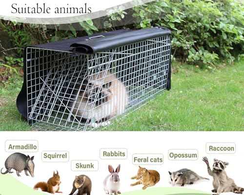 Live Animal Trap Cage with Cover 32 Inch Heavy Duty Folding for Raccoons, Opossums, Feral Cats A154