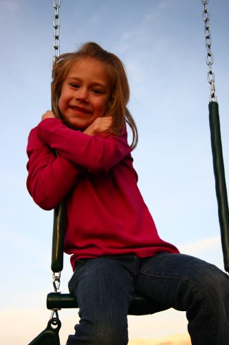 Lifetime Heavy Duty A-Frame Metal Swing Set E3142