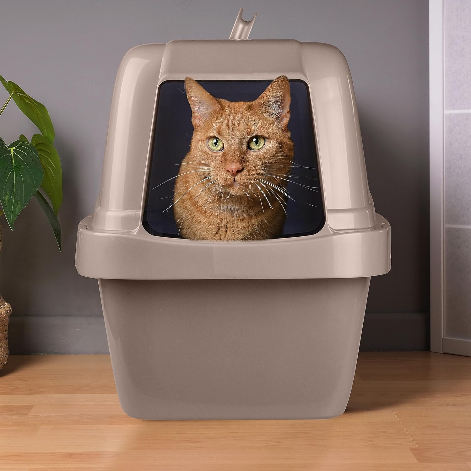 Van Ness Pets Odor Control Large Enclosed Sifting Cat Pan, Beige Q11731