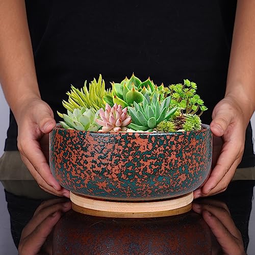 8 Inch Terracotta Planter with Bamboo Saucer for Succulent Bonsai L93293