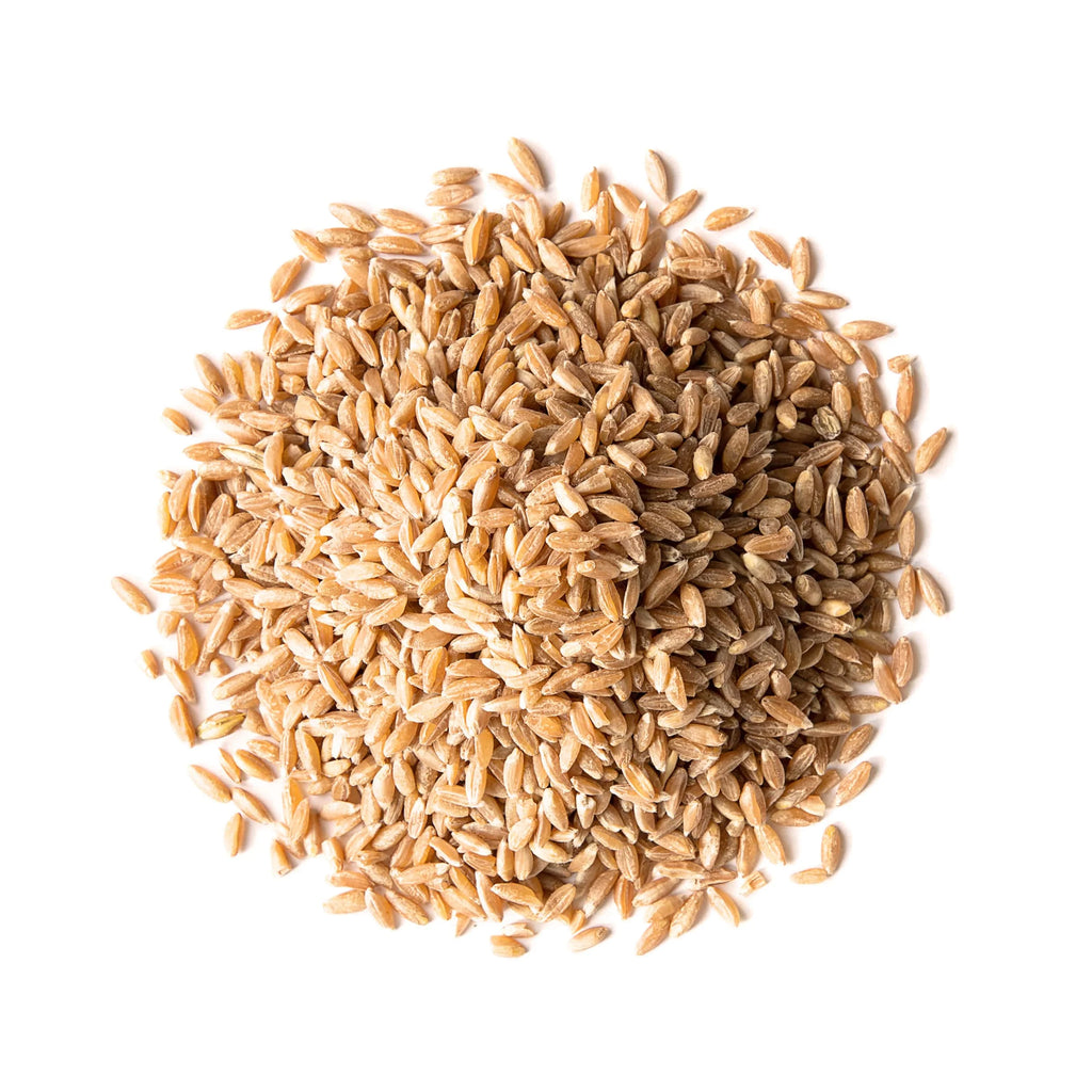 Spelt Berries, 10 Pounds – Rich in Fiber, Protein, and Iron J9669