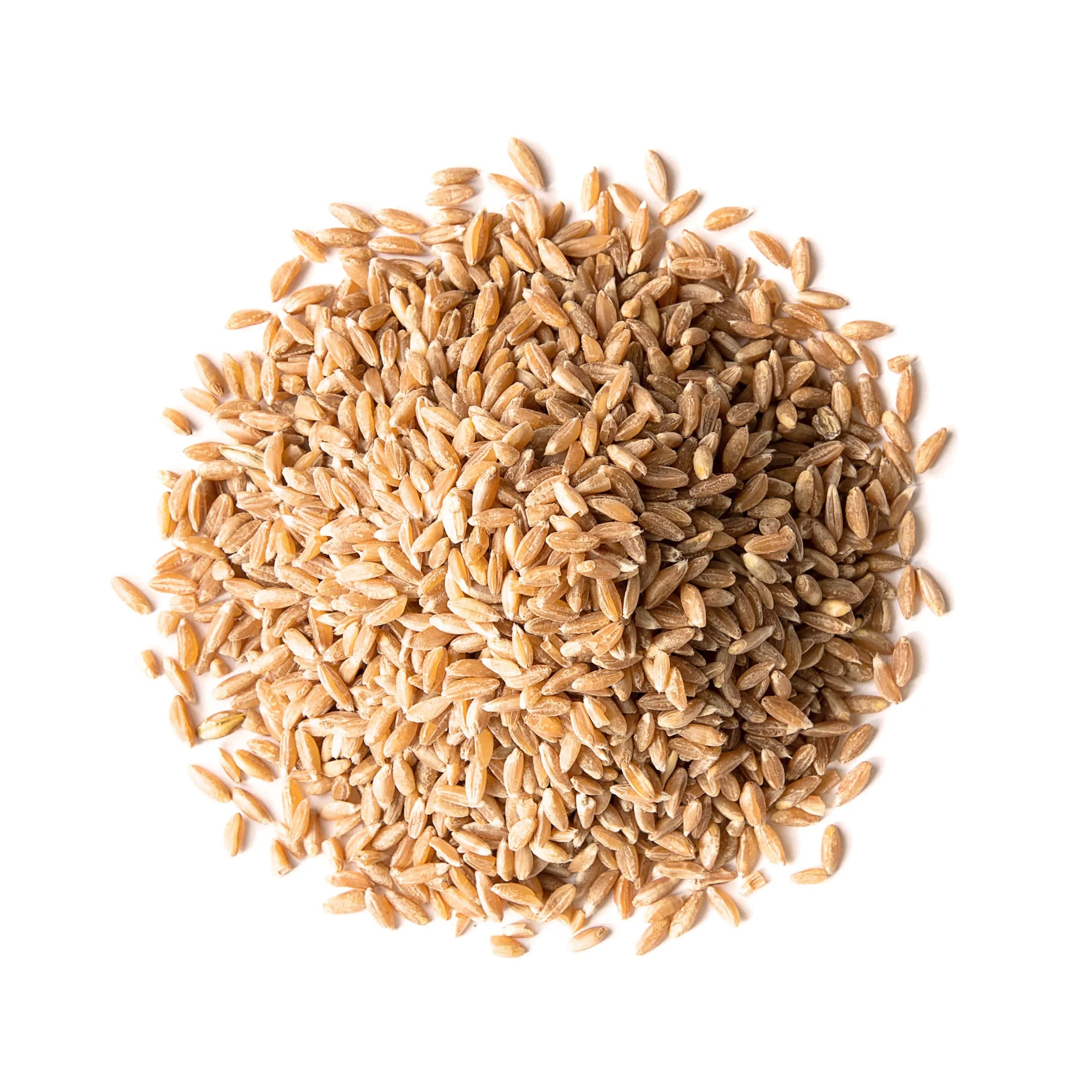 Spelt Berries, 10 Pounds – Rich in Fiber, Protein, and Iron J9669