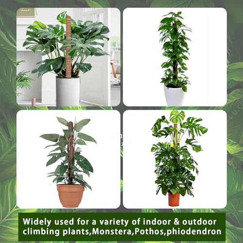 Moss Pole 2 Pack 17 Inch Monstera Plant Support for Climbing Plants Indoor I197510