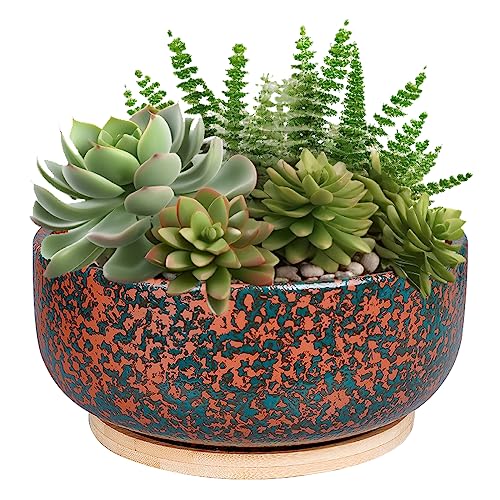 8 Inch Terracotta Planter Shallow Succulent Bonsai Planter Pot with Drainage Hole and Bamboo Saucer for Indoor Plants Brown