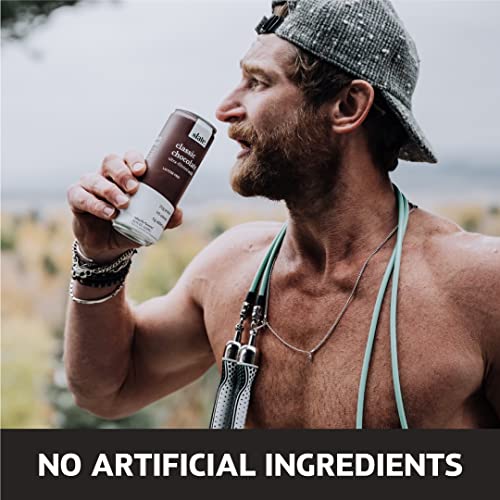 Slate Milk High Protein Dark Chocolate Shake, Lactose Free, 11 fl oz, 12 Cans C31569
