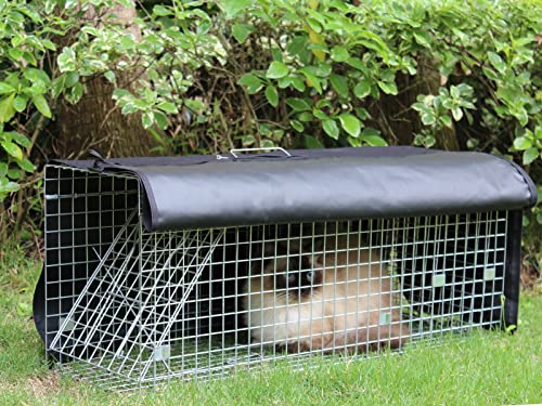 Live Animal Trap Cage with Cover 32 Inch Heavy Duty Folding for Raccoons, Opossums, Feral Cats A154