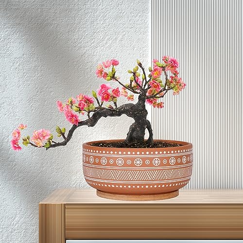8 Inch Terracotta Succulent Planter Pot with Bamboo Tray L806
