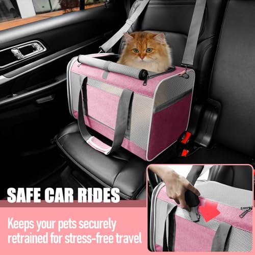 Pet Carrier for Large Cats and Small Dogs, Soft Sided Top Load Travel Bag Z16110