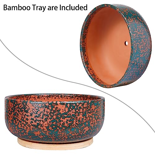 8 Inch Terracotta Planter with Bamboo Saucer for Succulent Bonsai L93293