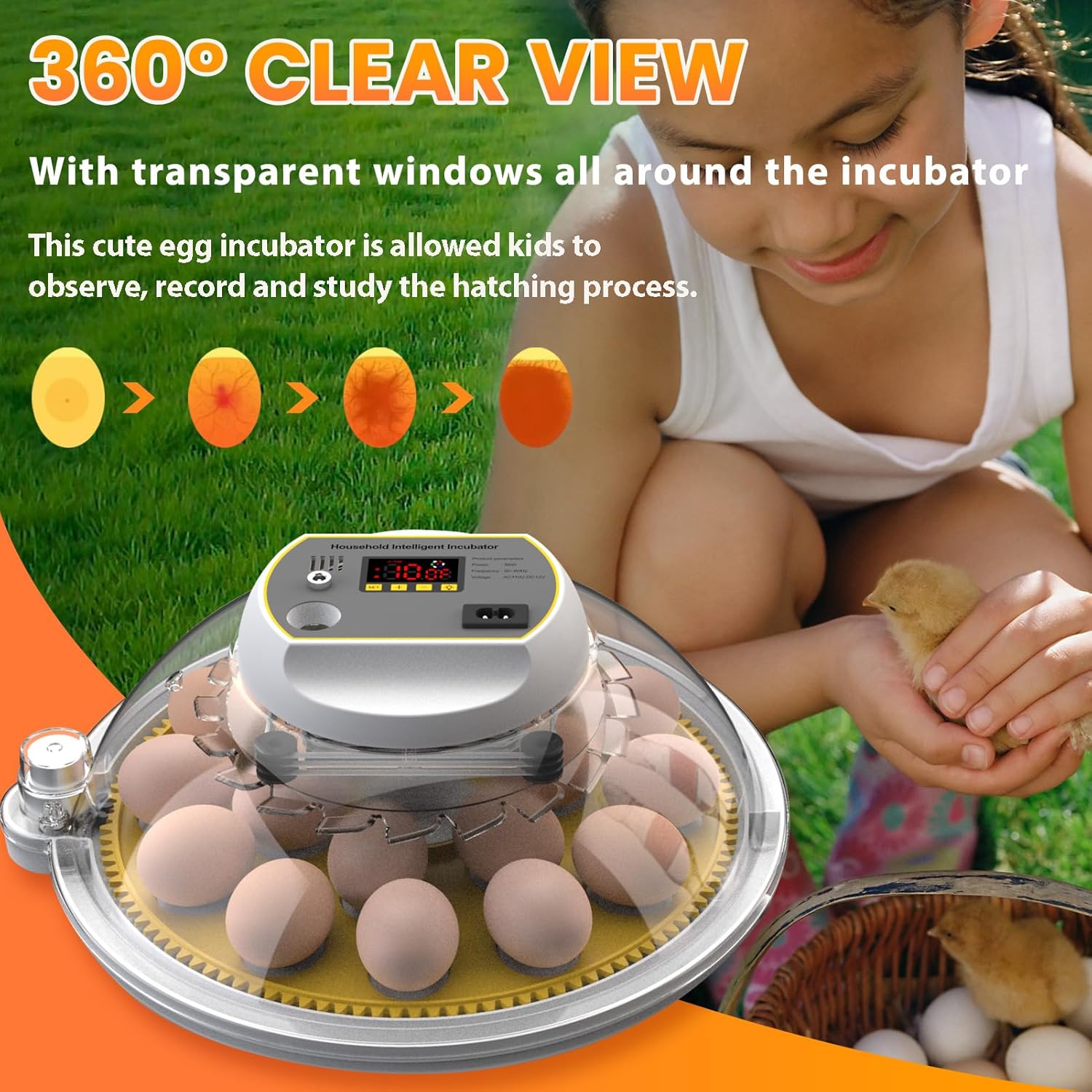 Incubators for Hatching Eggs, 18-60 Eggs with Auto Turning and Water Adding J66328
