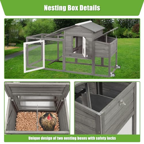 Wooden Chicken Coop with Nesting Box and Removable Tray (Grey) I6509