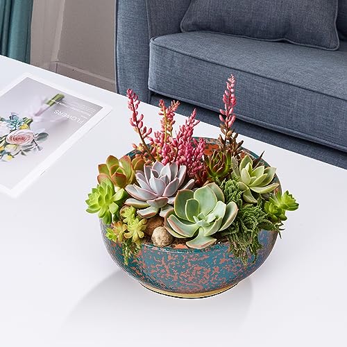 8 Inch Terracotta Planter with Bamboo Saucer for Succulent Bonsai L93293